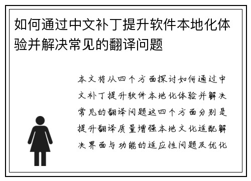 如何通过中文补丁提升软件本地化体验并解决常见的翻译问题